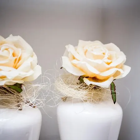 Haus Anna An Der Stadtmauer 3*