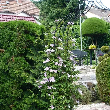 Haus Anna An Der Stadtmauer