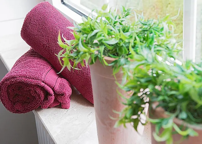 Haus Anna An Der Stadtmauer Hanau