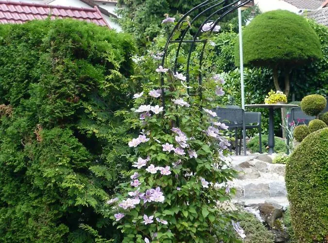 Haus Anna An Der Stadtmauer